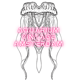 aquarium vintage amsterdam: curated y2k & 90's vintage clothing store